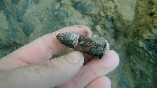 Metal Detecting a Clear and Cold River