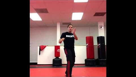 Knee of Vengeance By Matt Federico