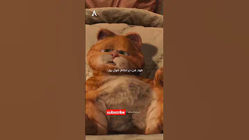 ساب کن دوبله خنده انیمیشن دوبله خنده دار سابسکرایب کارتون شرک دوبله طنز یوتوب کودکان 