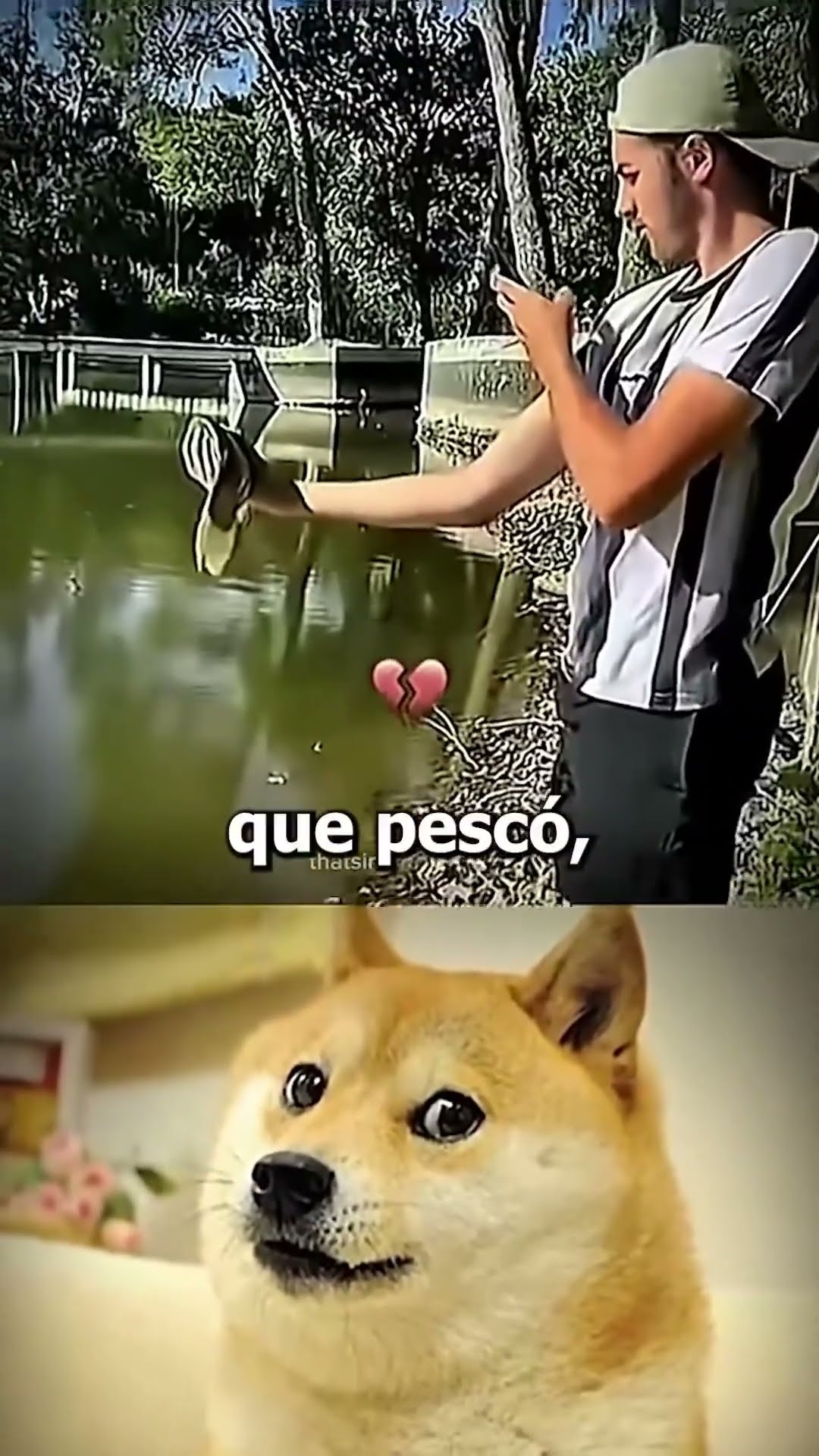 El PESCADOR más INTELIGENTE del MUNDO??