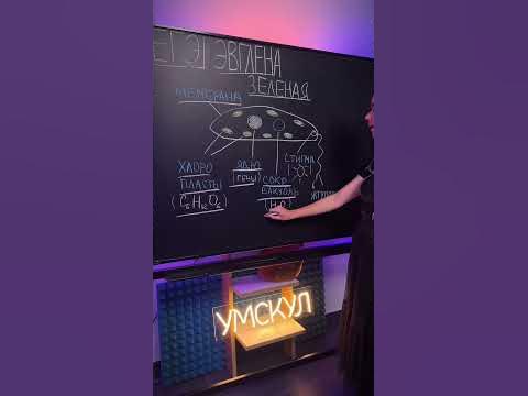 Эвглена зеленая #умскул_биология #жаннаказанская #умскул #биология ...