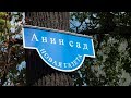 Памяти Анны Политковской