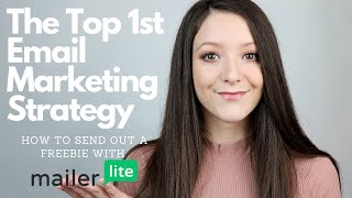 Opt In Freebie Email Marketing Strategy - How to send out with MailerLite | Incoming Success