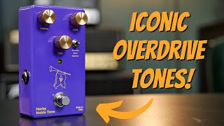 Get Amazing Prince of Tone Inspired Sounds - Harby Pedals Noble Tone Overdrive Demo