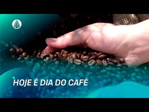 Dia Internacional do Café: curiosidades e benefícios da bebida | TJ Aparecida