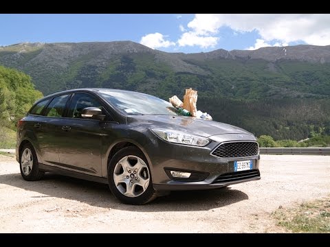 ford focus комментариями