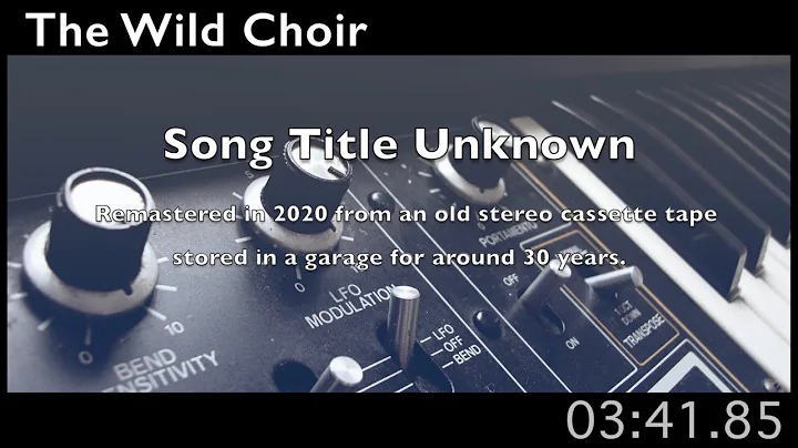 The Wild Choir - Song Title Unknown (1985)