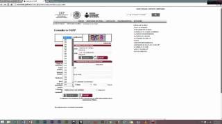Cómo consultar tu CURP, a través del portal del INEA Estado de México