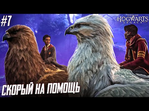 Видео: ПОЛЕТЫ ВО СНЕ И НА ЯВУ - Hogwarts Legacy #7
