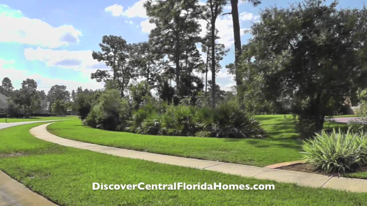 Live Oak Estates Orlando FL YouTube