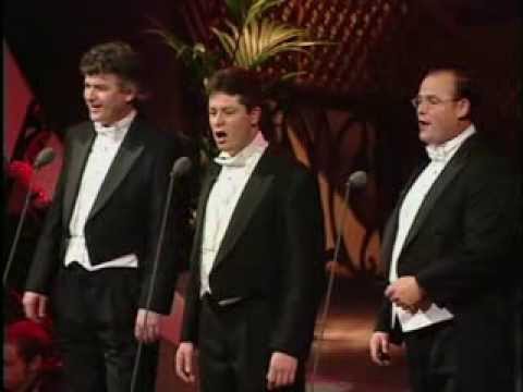 the-irish-tenors--toora-loora-looral-(live)