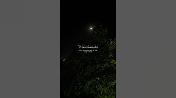 ﴿ان الذين يجادلون في آيات الله﴾ القارئ ياسر الدوسري #اكتب_شيئ_تؤجر_عليه #ارح_قلبك 🌷#ﷺ