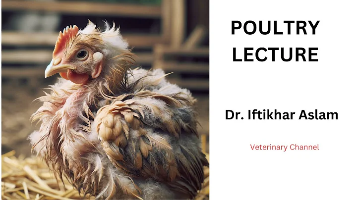 Coccidiosis in Poultry: Understanding and Preventing this Deadly Disease