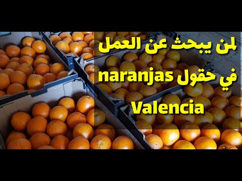 هام لمن يريد العمل في حقول  في إسبانيا
