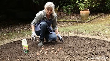 How to: Bulb planting