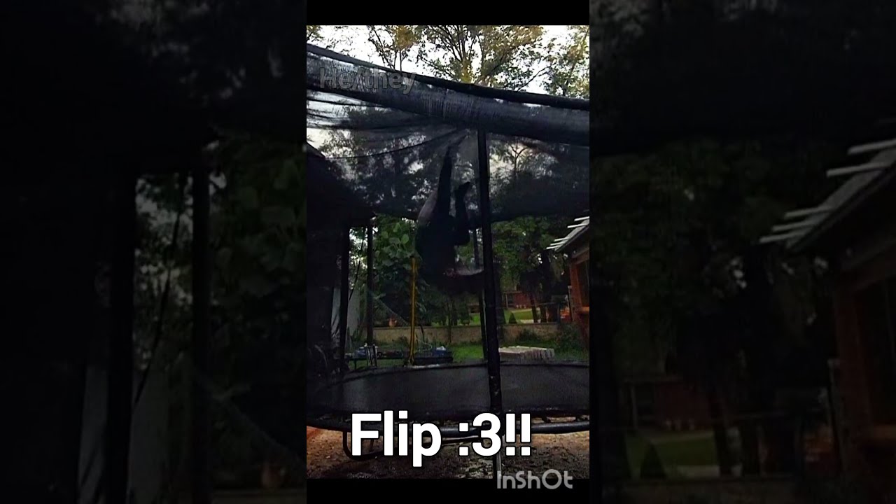 Flip Hehe 3 Therian Quads Quadrobics Frontflip Therians Therianthropy Theriancommunity Lgbtq