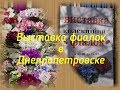 Выставка фиалок в Днепропетровске - 12-16 февраля 2019 года.