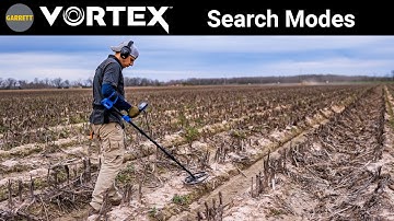 Vortex Search Modes