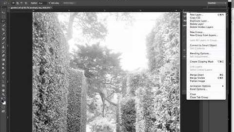 Black and White digital darkroom: Garden