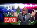 The current state of Illinois law regarding searches of vehicle based on odor of cannabis.