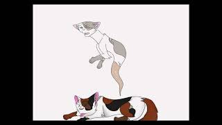 How the battle at sunningrocks went (warrior cats crappost)(kinda old)