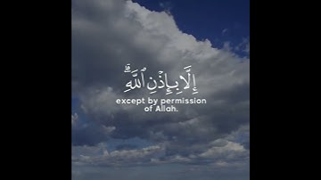 مَآ أَصَابَ مِن مُّصِيبَةٍ إِلَّا بِإِذۡنِ ٱللَّهِ || سورة التغابن || رعد الكردي 💙🍃