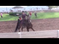 Horse runs away at show, what happens next will make your day. Turn up volume