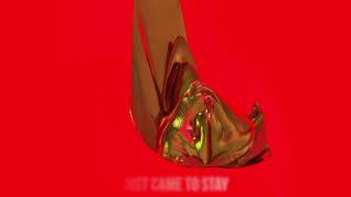 Ambre -  Kluster (lyric video)