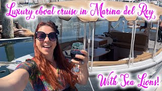 🚤✨ Luxury E-Boat Cruise in Marina del Rey | Relaxing Views, Scenic Sights, and Playful Sea Linos