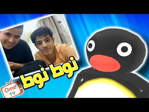 مقلب البطريق Ometv باندا 