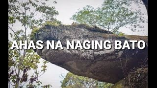 #nakaka pag taka paano naging bato #makikita iyo sa thailand ang
dambuhalang ahas na #yan kuwinto ng ma tatanda kung hnd ito ano ...