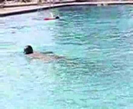 watershed For Judy and Orlando class: Judy swims and breathes