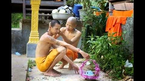 Vòng quanh thế giới qua các tiệm cắt tóc