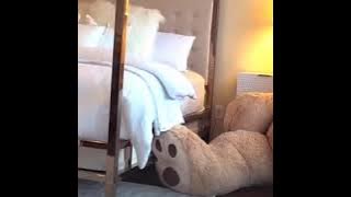 Teddy Bear prank on girlfriend