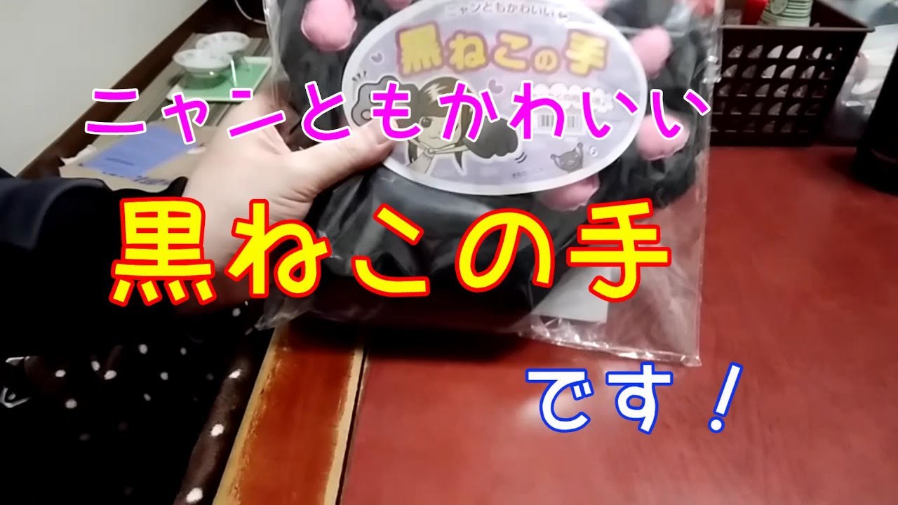 噛みつき ひっかき防止 に黒ねこ手袋買いました 24 七七七 進めーねこにゃん Youtube