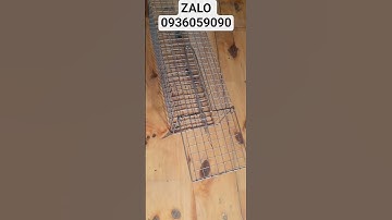 Cung cấp lồng bẫy sóc bông. Lò xo bẫy cống nhum. Lò xo bẫy sóc bông.