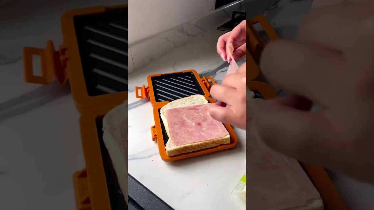 Microwave Sandwich Toaster