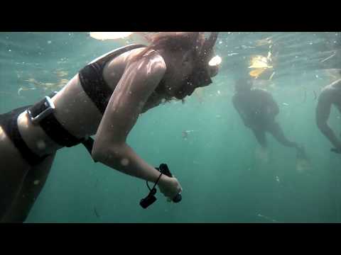 FREEDIVING East Tangat Gunboat Wreck In Coron Philippines