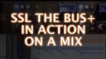 Checking Out The SSL THE BUS+ Compressor