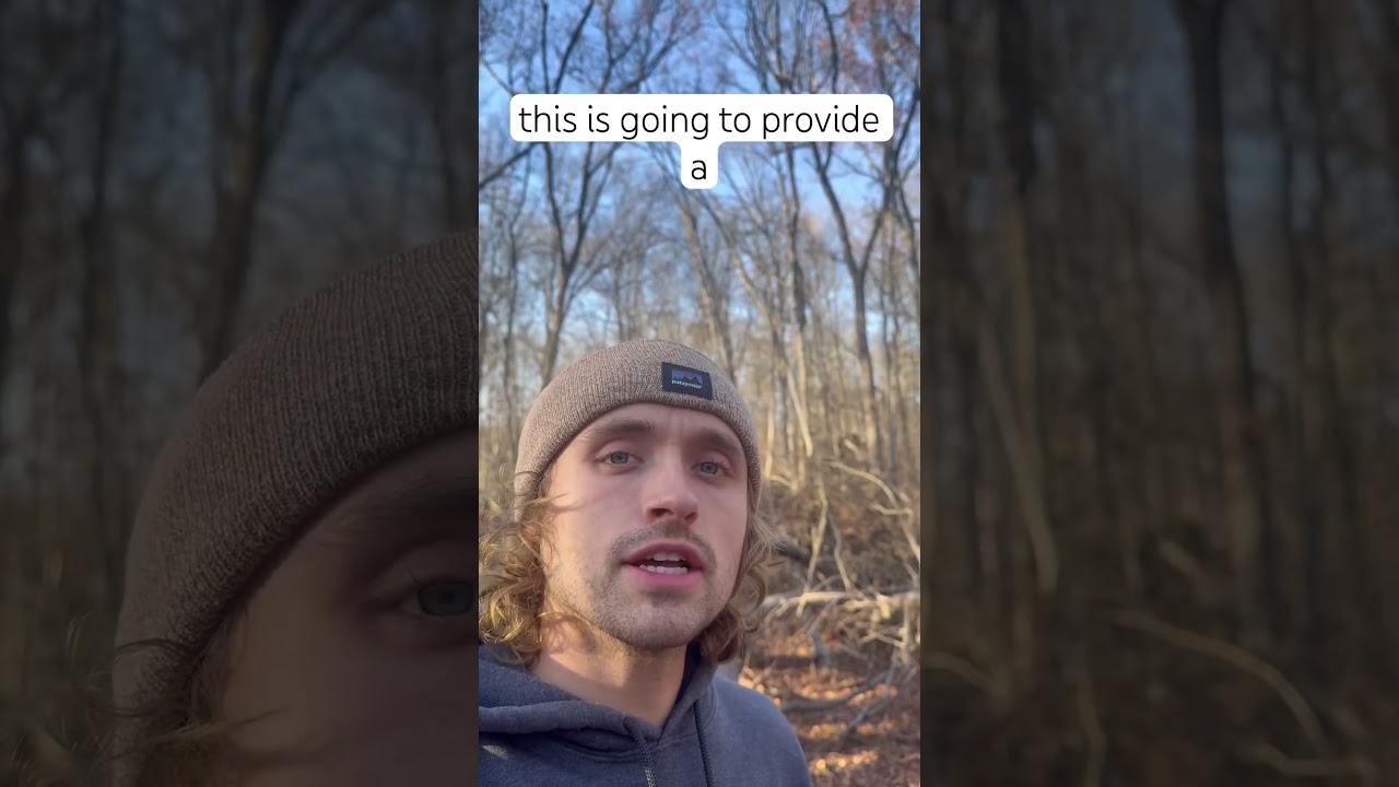 Fallen tree creating future habitat 