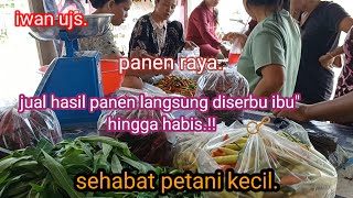 panen raya. jual hasil panen langsung diserbu ibu\