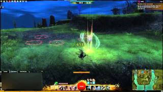 Condi Thief P/D Roaming