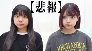 【悲報】るいかの動画出演が減ります...