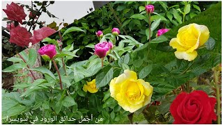 أجمل مناظر الطبيعية بالعالم 2021       #أجمل ورود في العالم # أجمل الأزهار في العالم. screenshot 4