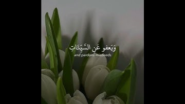 قران كريم | وهو الذي يقبل التوبة عن عباده ويعفو عن السيئات