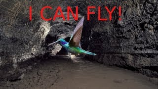 Ark:Aberration S1 E3 Part 3 I CAN FLY!