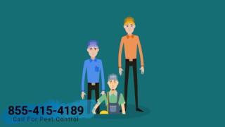 East Moline IL Pest Control