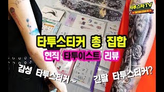 [타투핫개론] 타투스티커 전 품목 집합!｜타투이스트 가 직접 리뷰!!  퀄리티 대박!!!｜타티스트 vs 인스턴트 타투vs 레이지 먼데이 비교! !!｜ screenshot 1
