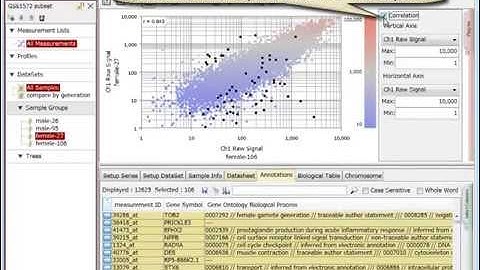Scatter Plot (Measurement) View