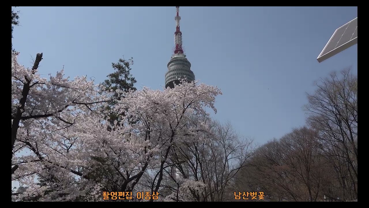 내사랑 꼭 잡고 (원곡 김정은)  노래 이윤옥